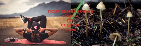 твердый Бронницы
