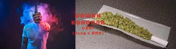 гашик Бородино