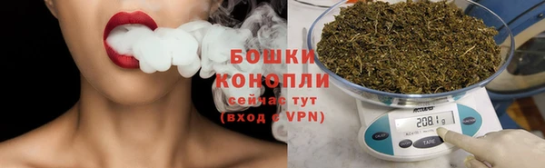 гашик Бородино