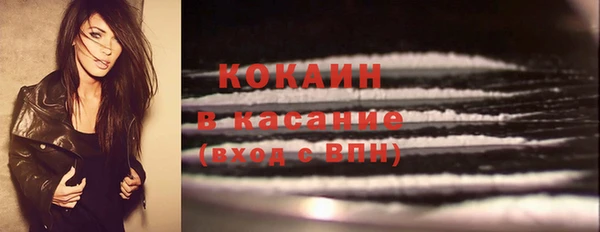твердый Бронницы