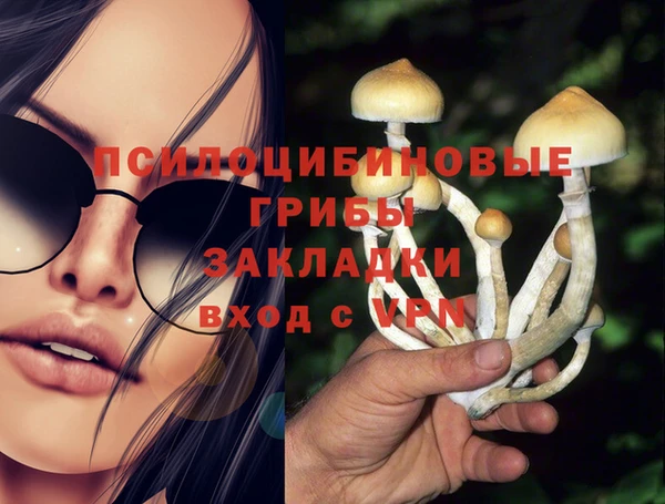 твердый Бронницы