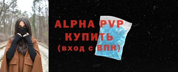 гашик Бородино